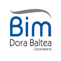 Logo Bim