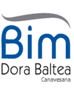 Logo Bim